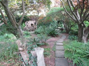 The magic garden