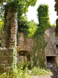 Images of the ruins covered in ivy