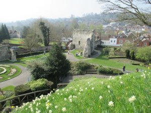 View of the ruins from the motte