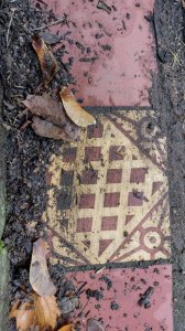 Floor tiles looking muddy in the autumn weather