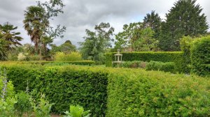 A water feature
