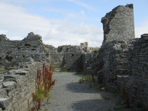 Parts of the castle could do with a bit of weed control!
