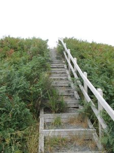 Rampart steps 2