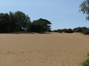 Views of Merthyr Mawr sand dunes