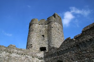 The kidney tower again
