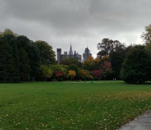 Cardiff Castle as viewed from Bute Park