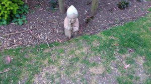 This little fellow sits at the entrance to the Bishop's garden