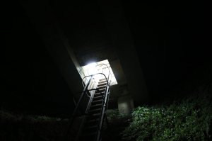 The ladder access to a shaft at nearby Grimes Graves