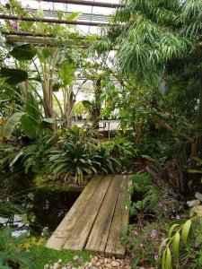 A view of the glasshouse pond