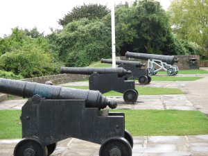 The gun garden