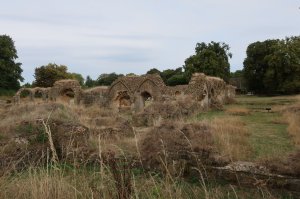 View taken from the back of the site