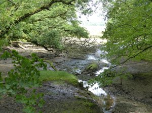 Upton Creek