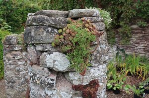 Garden feature