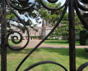 Peeping through the gates of the Palace
